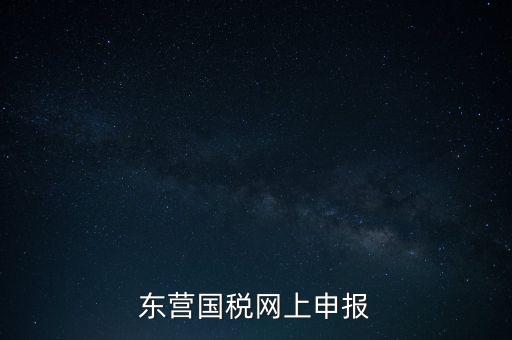 東營(yíng)國(guó)稅網(wǎng)上申報(bào)