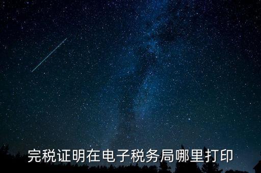 地稅的申報(bào)信息如何查詢打印，完稅證明在電子稅務(wù)局哪里打印
