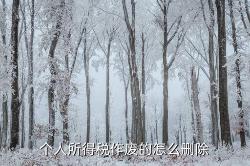 如何刪除已審核的地稅報表，已遞上的地稅網(wǎng)上財務報表系統(tǒng)的報表能否刪除