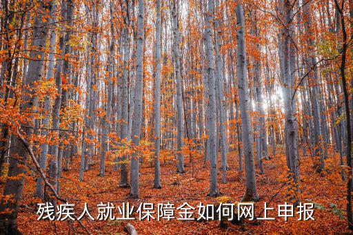 安徽殘疾人保障金如何網(wǎng)上申報，殘疾人就業(yè)保障金如何網(wǎng)上申報
