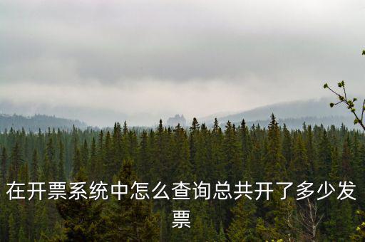 在開(kāi)票系統(tǒng)中怎么查詢(xún)總共開(kāi)了多少發(fā)票