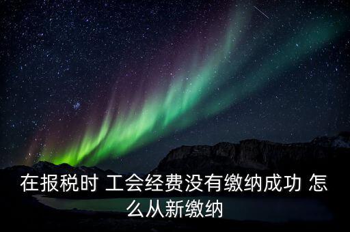 如何補繳工會經費，在報稅時 工會經費沒有繳納成功 怎么從新繳納
