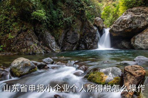 山東省如何網(wǎng)上申報(bào)所得稅，山東國稅2008年度企業(yè)所得稅實(shí)行網(wǎng)上申報(bào)