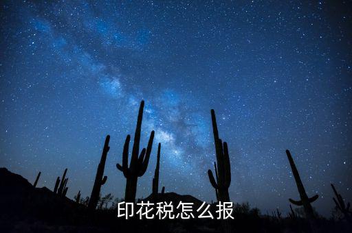 如何國稅申報印花稅，印花稅怎么報