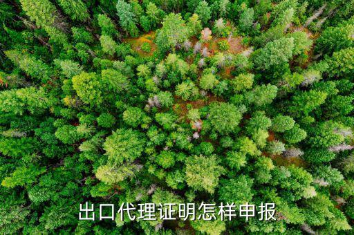 代理出口貨物證明如何報稅，出口代理證明怎樣申報