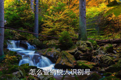 如何查詢個人納稅人識別號，納稅人識別號查詢