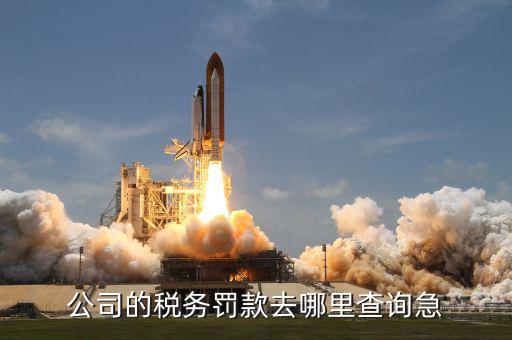 如何查稅收罰款，公司的稅務(wù)罰款去哪里查詢急