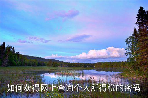 如何獲取個(gè)稅網(wǎng)報(bào)密碼，個(gè)人所得稅怎么查