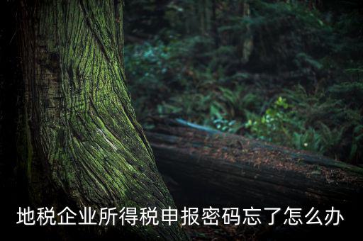 南京地稅密碼如何重置，個人所得稅忘記密碼之后如何進行重置呢