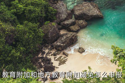 地方教育附加如何申報了，教育附加和地方教育附加減免怎么申報