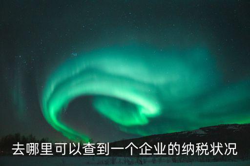 企業(yè)在哪納稅如何查，去哪里可以查到一個(gè)企業(yè)的納稅狀況