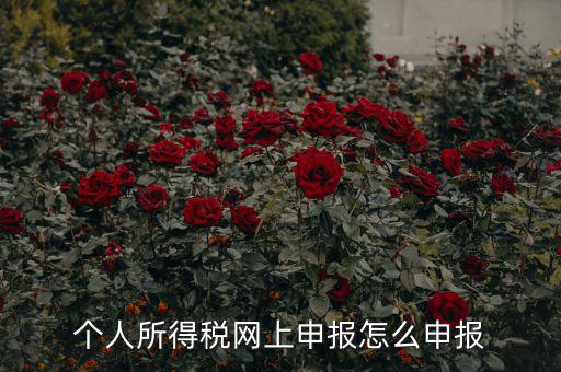 福建個(gè)人納稅如何申報(bào)，個(gè)人所得稅網(wǎng)上申報(bào)怎么申報(bào)