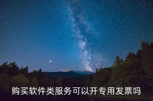 軟件采購專票如何開具，購買軟件類服務(wù)可以開專用發(fā)票嗎