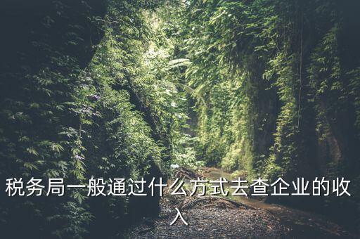 稅務(wù)如何統(tǒng)計收入，小規(guī)模增值稅季報在哪里統(tǒng)計收入