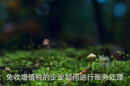 免稅的增值稅如何處理，增值稅免稅的處理