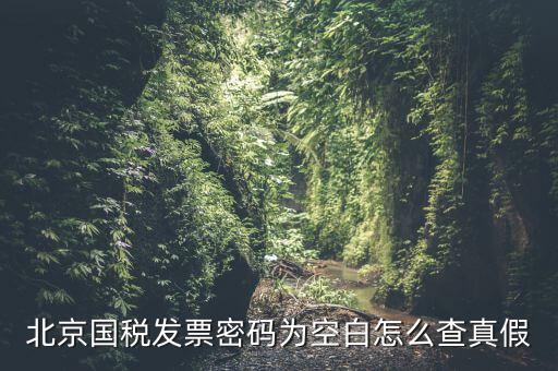北京國稅發(fā)票真?zhèn)稳绾尾樵?，北京國稅發(fā)票密碼為空白怎么查真假