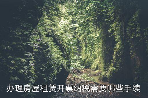 租房如何開增值稅專票，房屋租賃可以開增值稅專用發(fā)票嗎