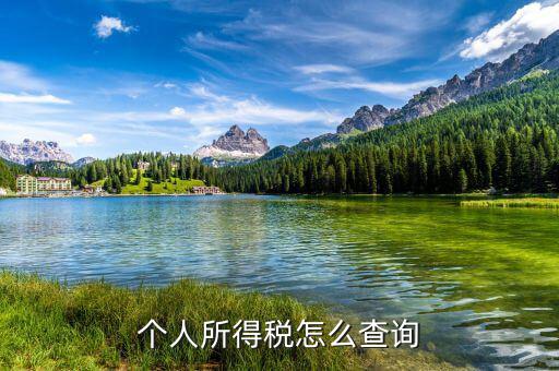 如何查稅，怎么查自己交了多少稅