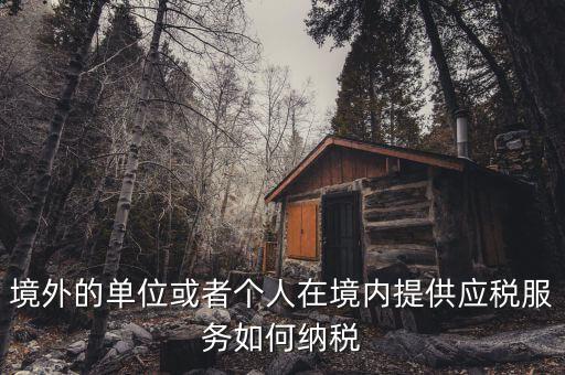 境外機構(gòu)如何繳納增值稅，來源于境外收入怎么交增值稅