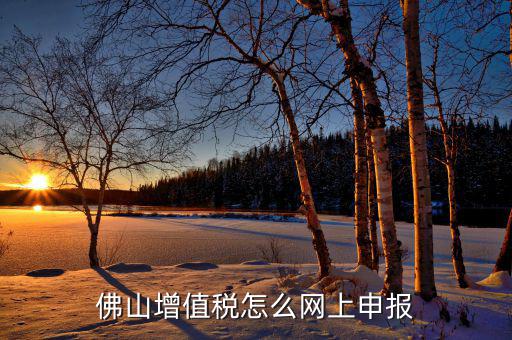 佛山地稅如何網(wǎng)上申報(bào)，佛山增值稅怎么網(wǎng)上申報(bào)