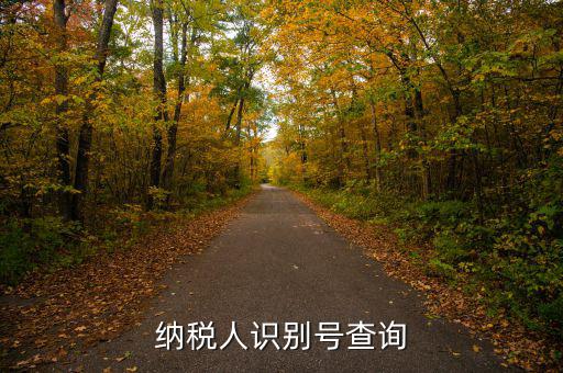 如何查公司納稅人識別號，納稅人識別號查詢