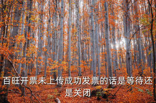 百旺未上傳發(fā)票如何上傳，百旺開(kāi)票軟件怎么查詢(xún)發(fā)票是否已上傳