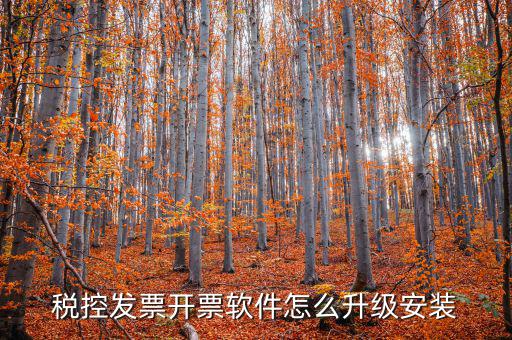 開(kāi)票系統(tǒng)如何升級(jí)成品油軟件，稅率調(diào)整開(kāi)票軟件如何升級(jí)
