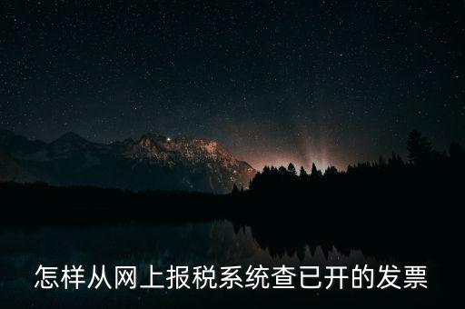怎樣從網(wǎng)上報(bào)稅系統(tǒng)查已開(kāi)的發(fā)票