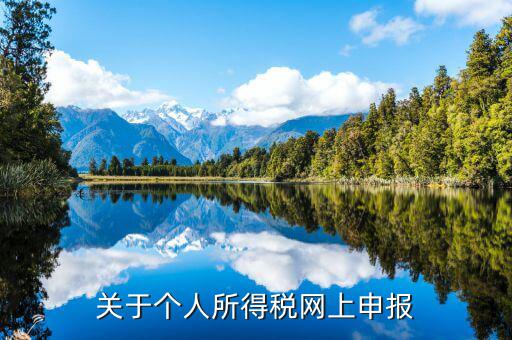 網(wǎng)上如何啟用個稅，如何打開個人所得稅申報表的明細(xì)