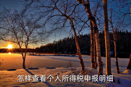 如何查詢個(gè)人所得稅明細(xì)申報(bào)，怎樣查看個(gè)人所得稅申報(bào)明細(xì)