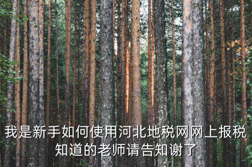 河北省地稅網(wǎng)上申報(bào)如何操作，地稅網(wǎng)上申報(bào)如何操作