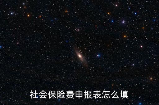 稅務系統(tǒng)社保費申報表如何填報，社會保險費申報表怎么填