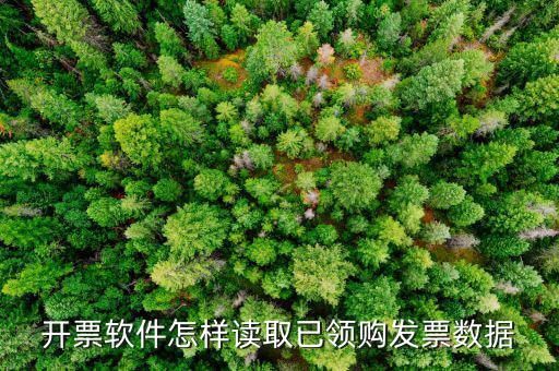 發(fā)票數(shù)據(jù)如何采集，開票軟件怎樣讀取已領(lǐng)購發(fā)票數(shù)據(jù)