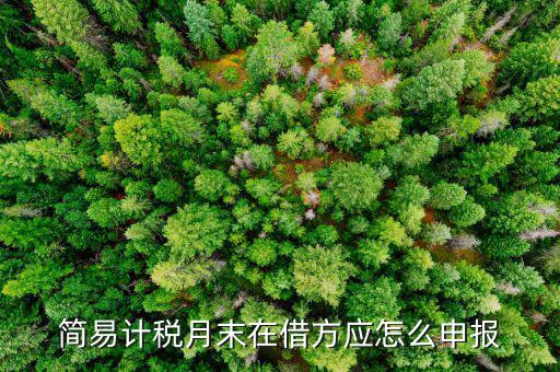 環(huán)保稅如何按簡易申報(bào)，環(huán)保稅怎么申報(bào)