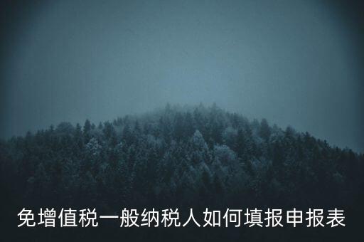 免稅如何填寫申報表，免稅企業(yè)如何填報增值稅納稅申報表