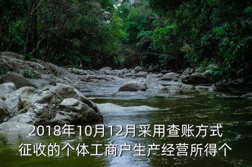 2018年10月12月采用查賬方式征收的個(gè)體工商戶(hù)生產(chǎn)經(jīng)營(yíng)所得個(gè)