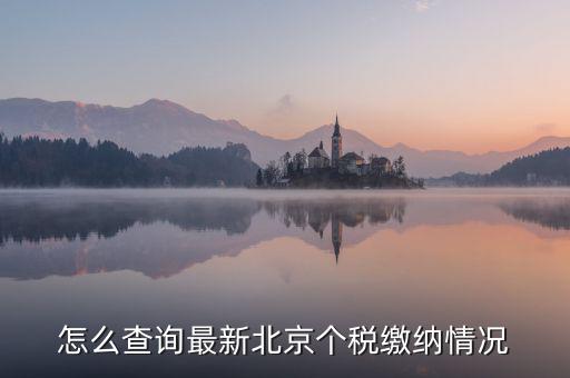 北京市 欠稅人員如何查詢，稅務(wù)欠稅信息如何查詢