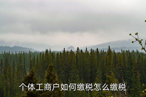 福建企業(yè)如何繳稅，企業(yè)所得稅是多少