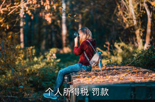 個(gè)稅罰款如何繳，個(gè)人所得稅 罰款