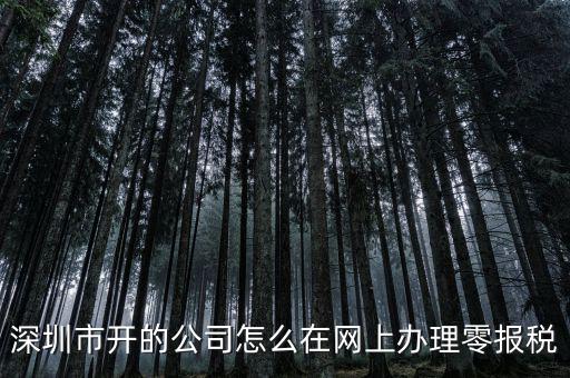 深圳如何在網(wǎng)上辦理納稅，深圳市開的公司怎么在網(wǎng)上辦理零報稅