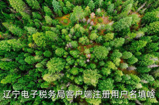 如何注冊(cè)社保電子稅務(wù)局賬號(hào)，遼寧電子稅務(wù)局客戶(hù)端注冊(cè)用戶(hù)名填啥