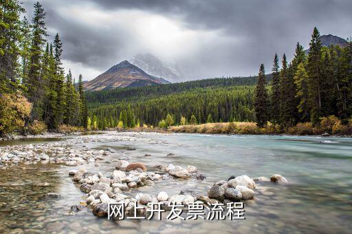 如何網(wǎng)上申領(lǐng)電子發(fā)票，如何開通網(wǎng)上電子發(fā)票