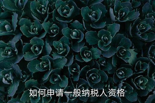一般納稅人如何申請B級，一般納稅人B類企業(yè)如何申報企業(yè)所得稅