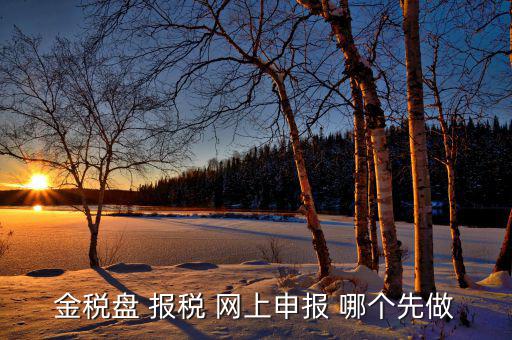 金稅盤如何網(wǎng)上申報，求金稅盤如何在電腦上報稅操作流程