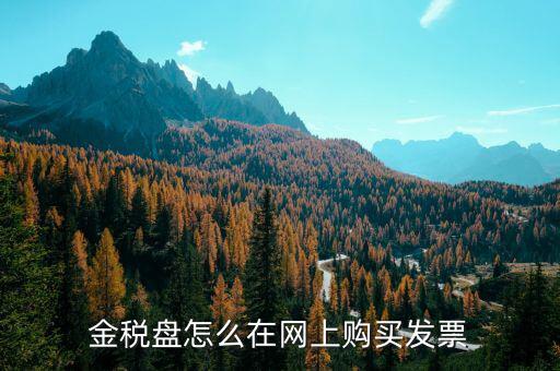 金稅盤如何網(wǎng)上購票，金稅盤領(lǐng)購發(fā)票的流程