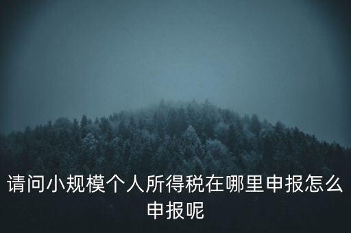 如何申報自然人兩處所得，請問小規(guī)模個人所得稅在哪里申報怎么申報呢