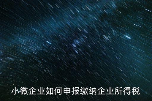 小企業(yè)如何繳納所得稅，小規(guī)模企業(yè)所得稅怎么交納