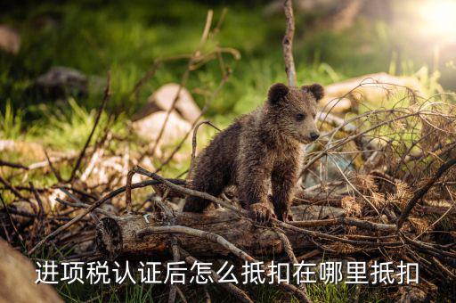 動(dòng)產(chǎn)進(jìn)項(xiàng)稅如何抵扣，進(jìn)項(xiàng)稅是怎么個(gè)抵扣法