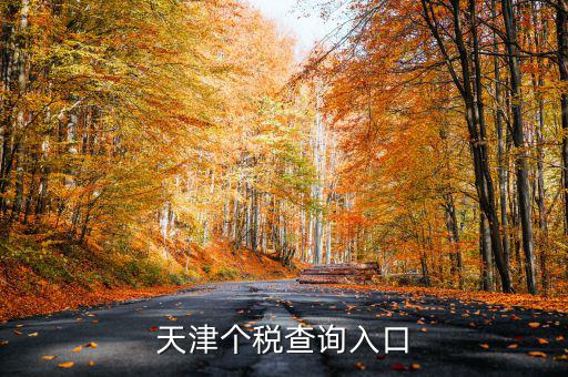 天津個稅如何查詢密碼，天津個稅查詢入口