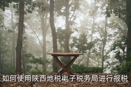 電子稅務(wù)局如何操作，如何使用陜西地稅電子稅務(wù)局進行報稅